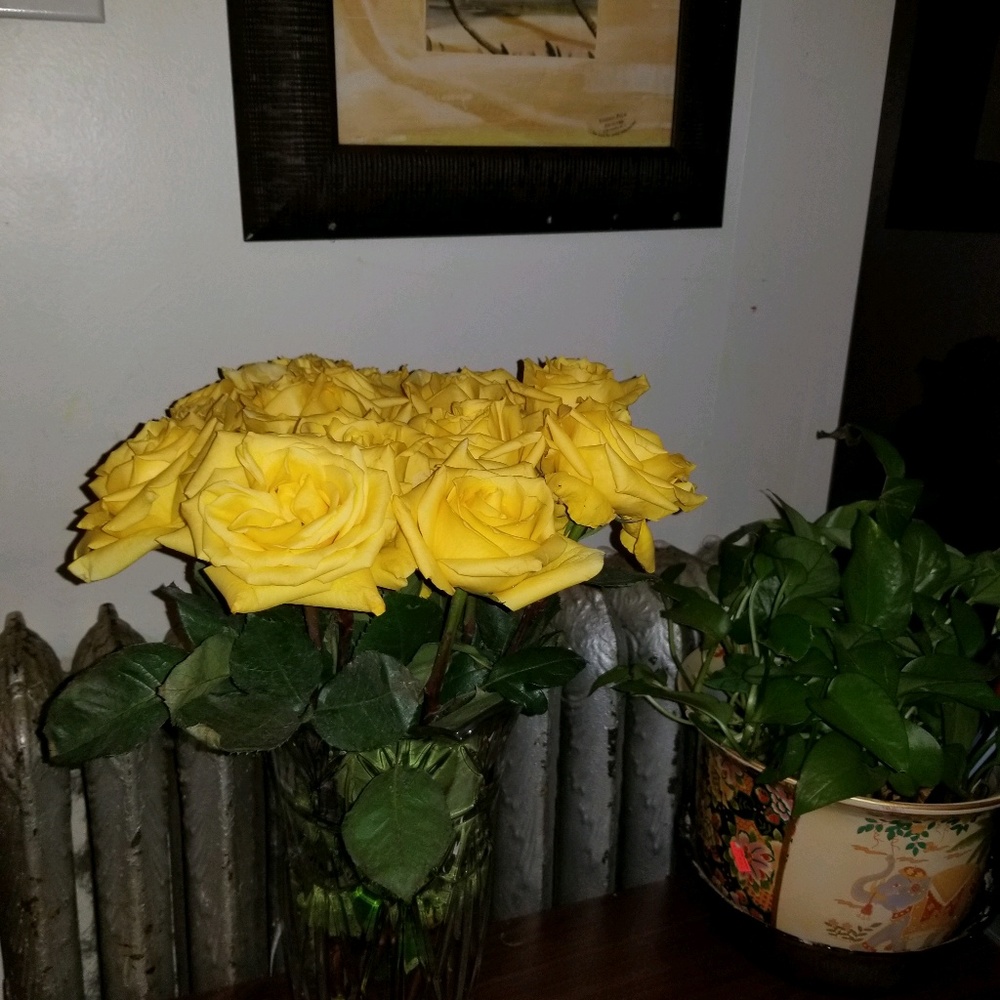 Meet your Posher, Janie